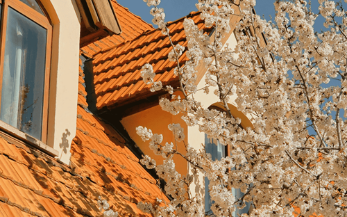 Welcome the Warmth: Essential Spring Tips for Tennessee Homeowners